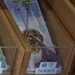 榴岡天満宮の藤守