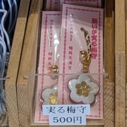 榴岡天満宮の実る梅守