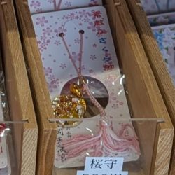 榴岡天満宮の桜守