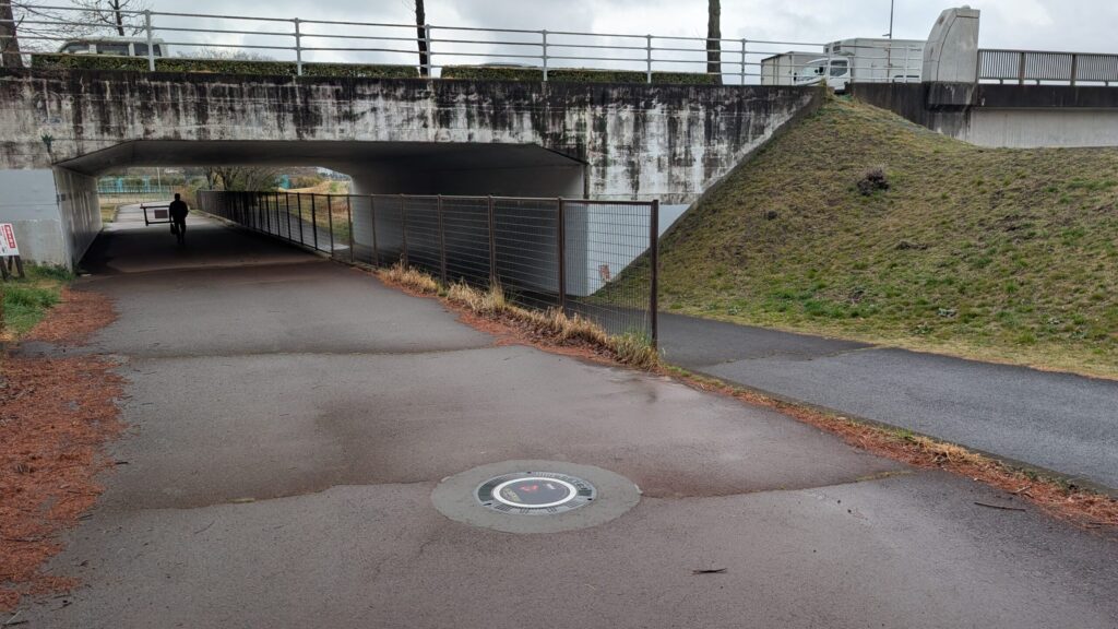 乙骨憂太vs黒沐死｜特級ゴキブリ呪霊との連戦